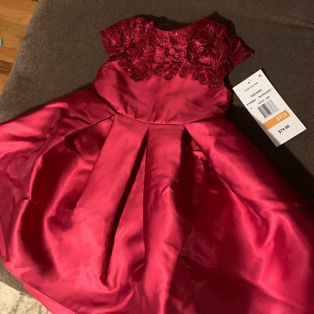 Beautiful cranberry never worn 3T toddler dress -